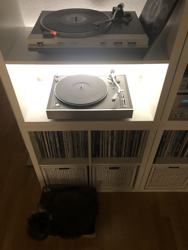 C86A1A1C-4334-4465-958A-885AAB631ADF