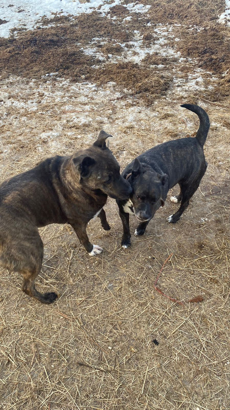 2EC8A2A0-5BBE-4995-AFA4-FCE5F707B5B4