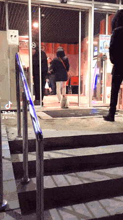 87.gif