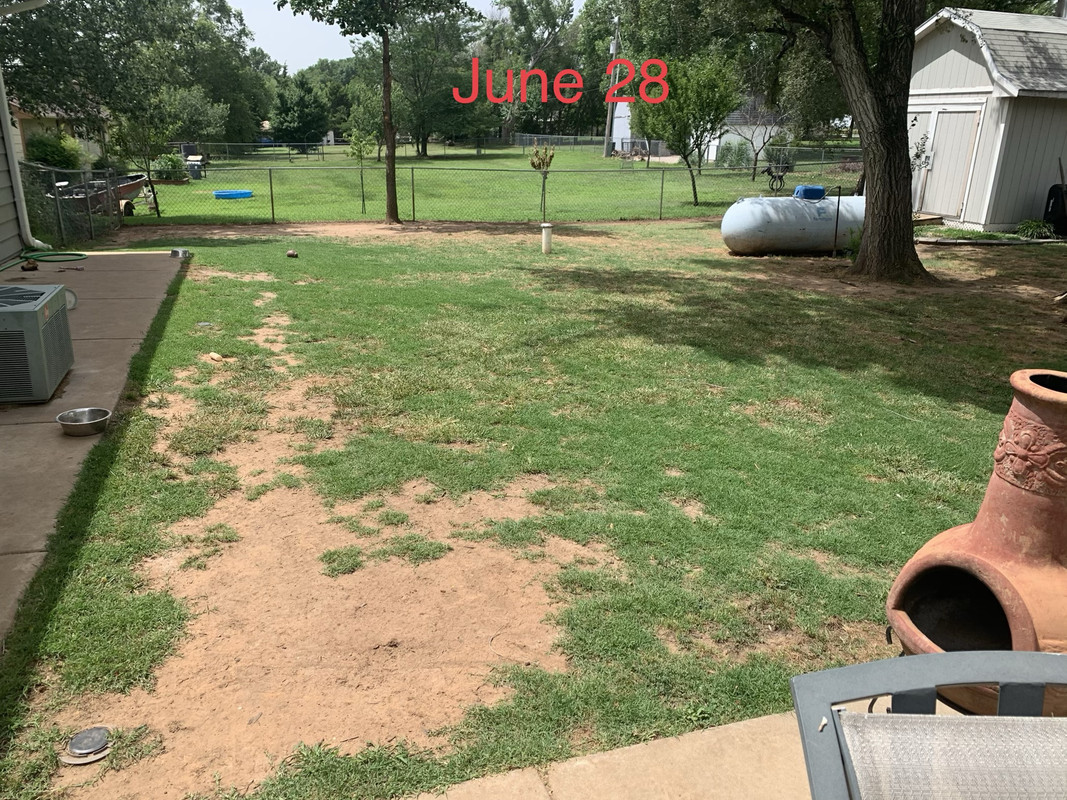 A0ED5968-A224-46D4-A866-205DD5C02655