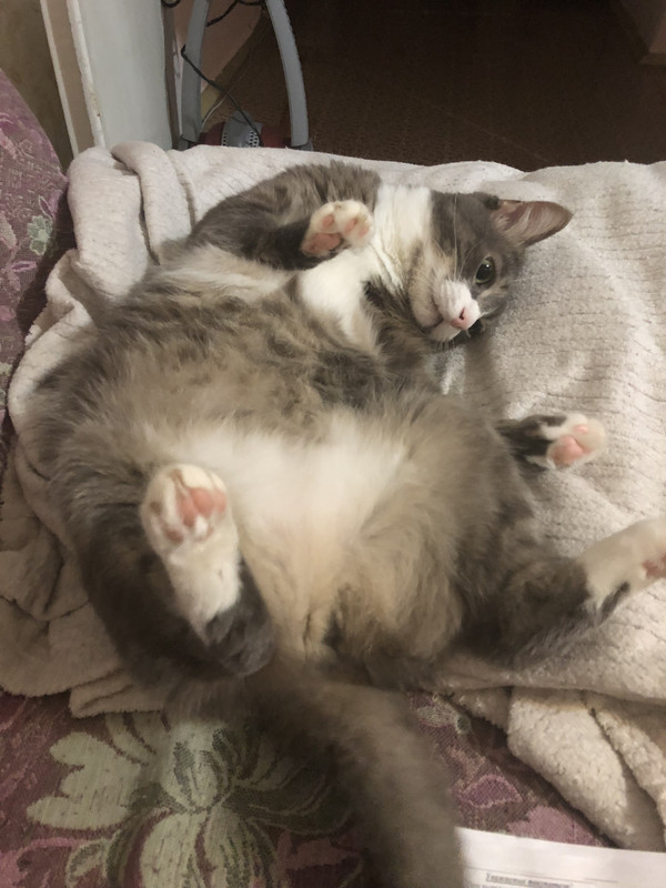 8E9E2D80-7CDB-493F-B935-941290D7D215