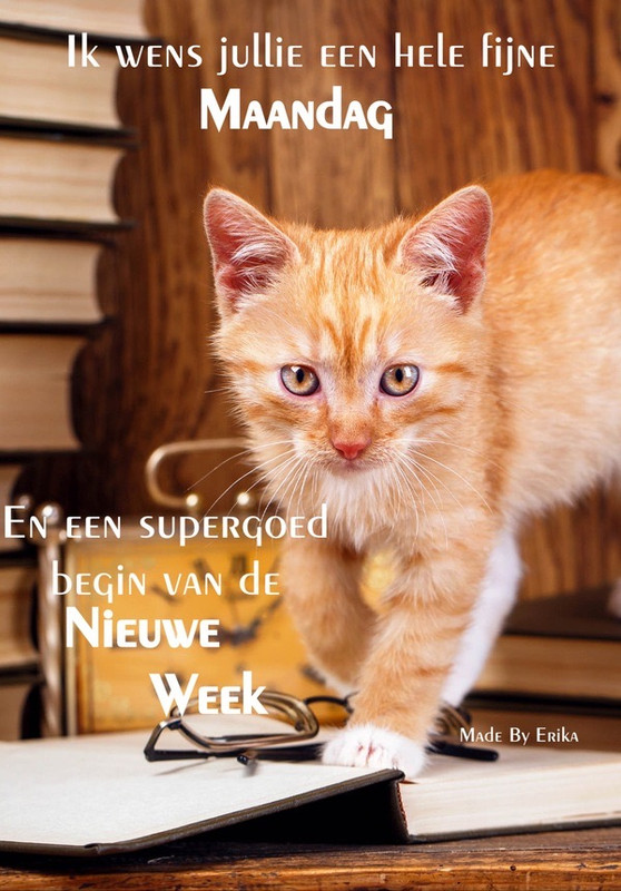 HTML leren