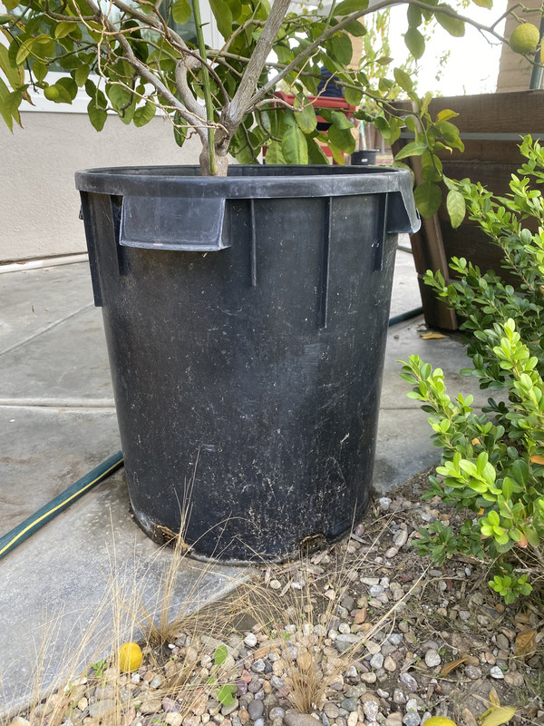 F93A402B-8C51-4531-89B3-CAE8F7CDD446