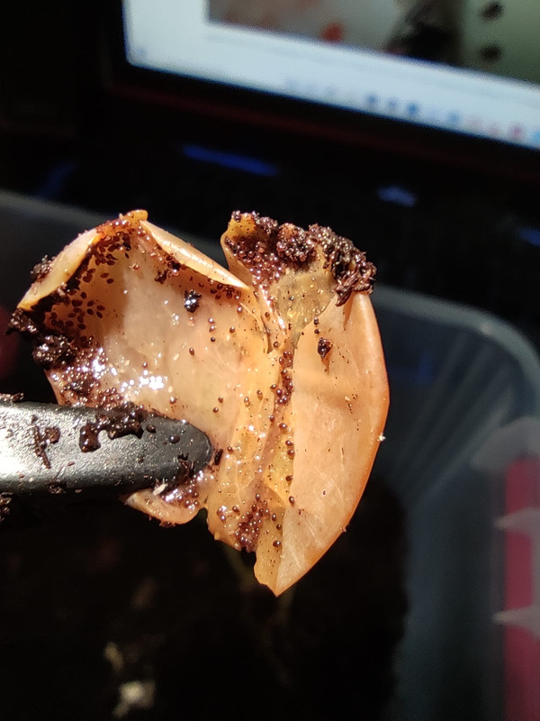 WhatsApp Image 2020-09-25 at 21.29.52(1)