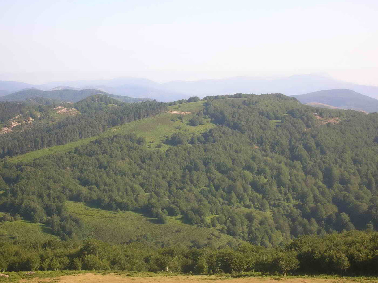 2005 07 02 La Leze bira 093