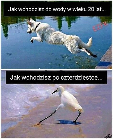 humor-2.jpg