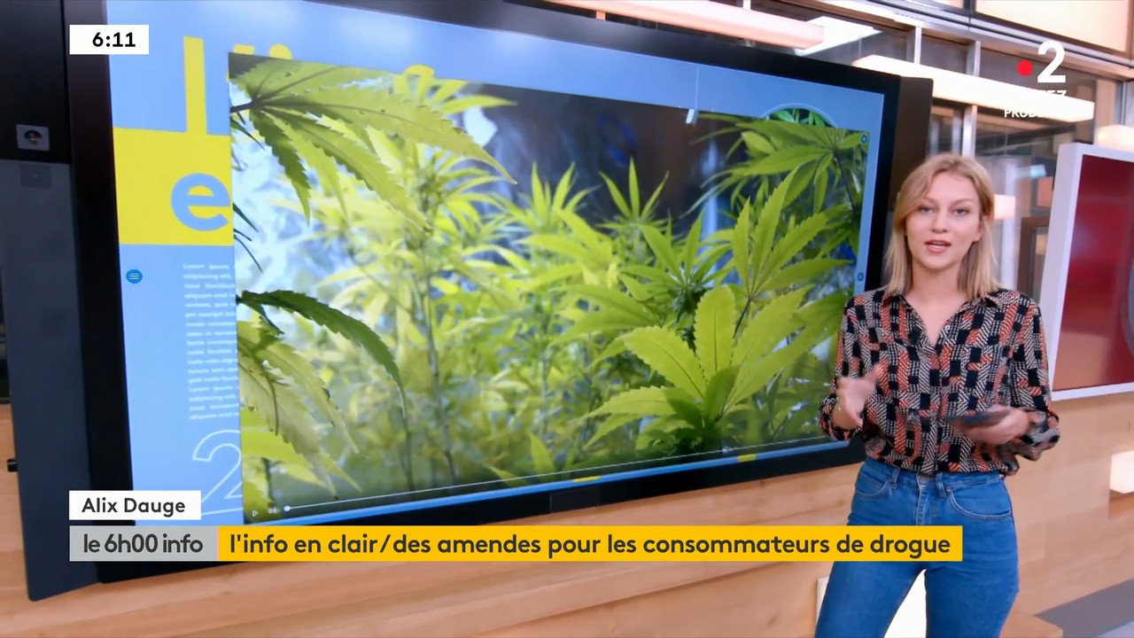 2020-06-17_06_00_Fr2_Le-6h00-info.mp4_snapshot_16.50.186