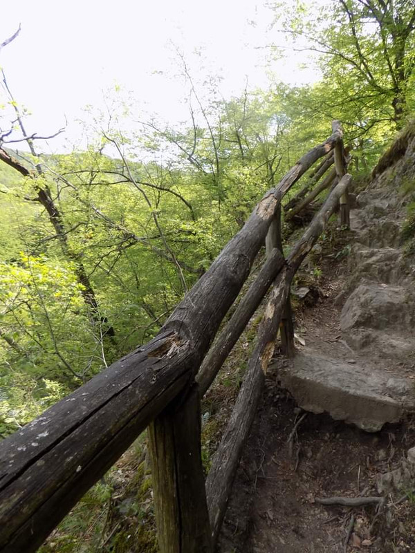 FB_IMG_1620197491932