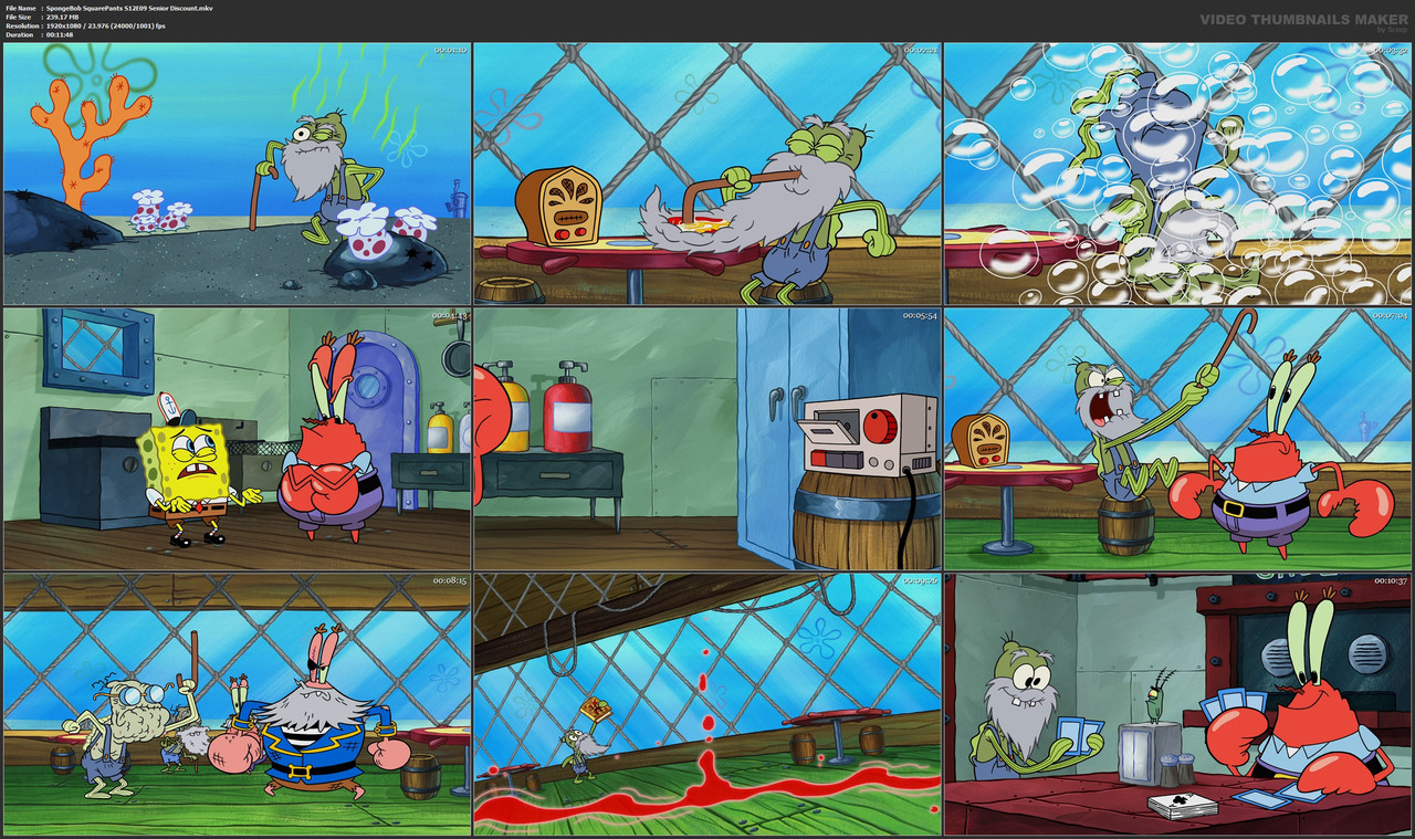 SpongeBob SquarePants S12E09 Senior Discount.mkv