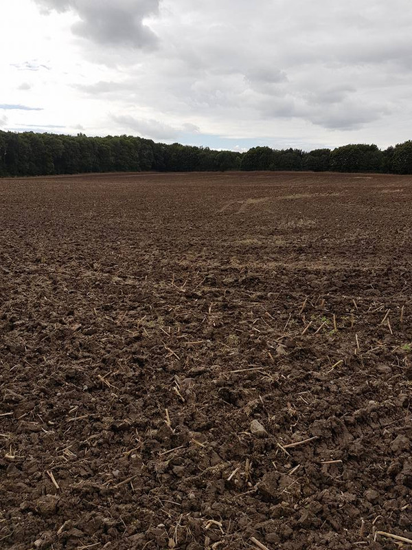 Mud-1