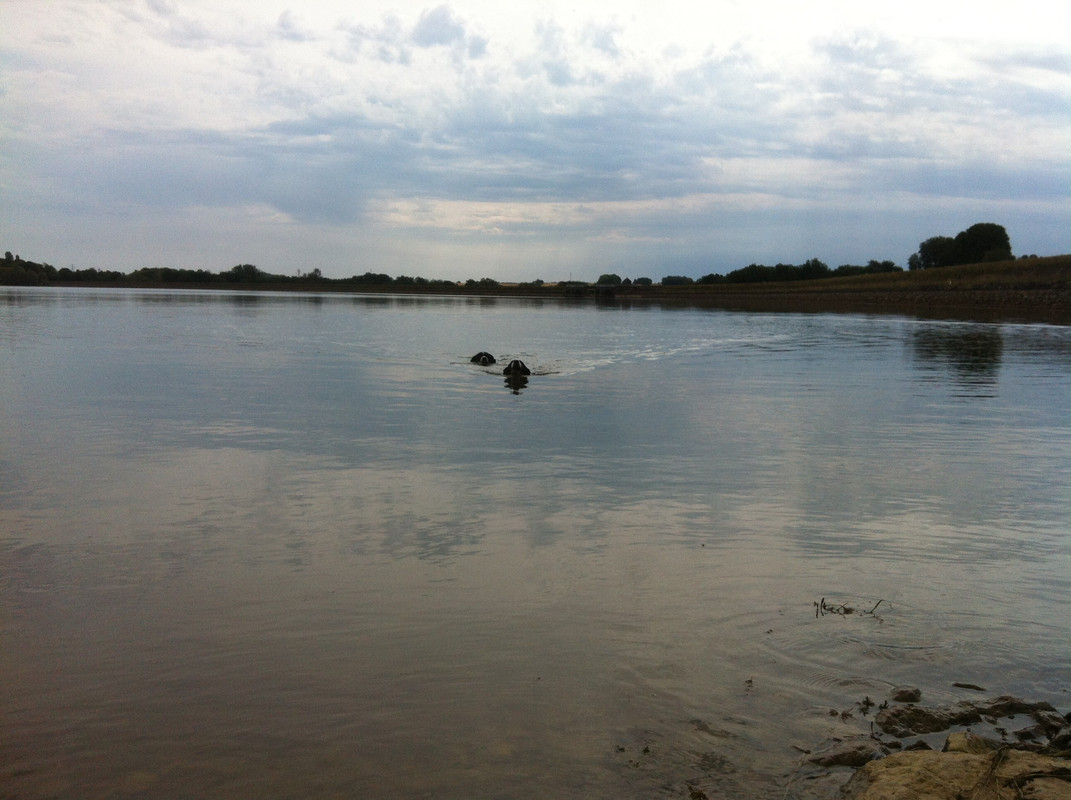 65E94563-C49E-4B5B-8B3B-9EF30F01032D