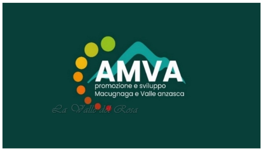 logo-Amva