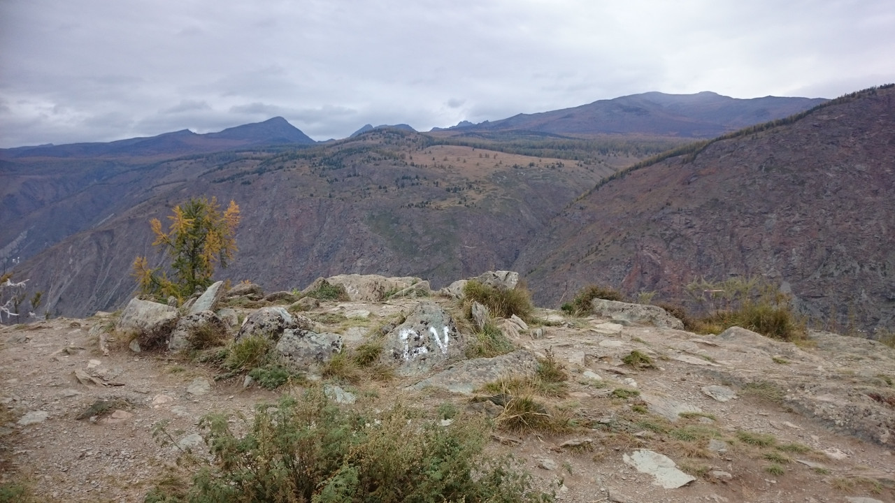 Алтай (62)