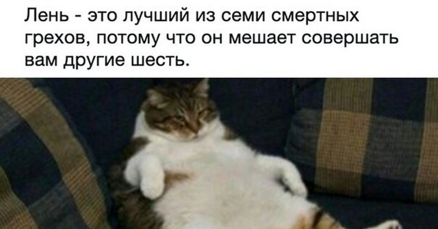 https://i.postimg.cc/y8zyWskZ/1.jpg