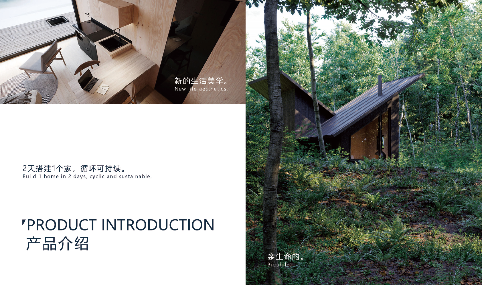 Modern wooden cabin design for resort use