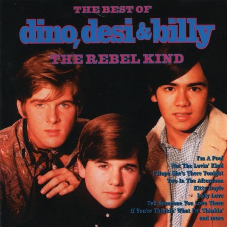 Dino, Desi & Billy - The Best Of - The Rebel Kind (1996)