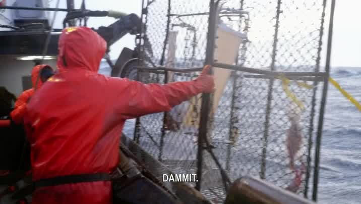 [Image: mf12j10roysg.jpg]