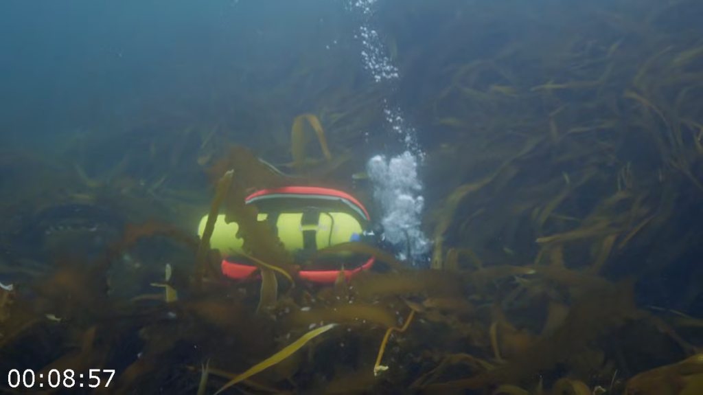 [Image: zsr5pv64nwn9.png]