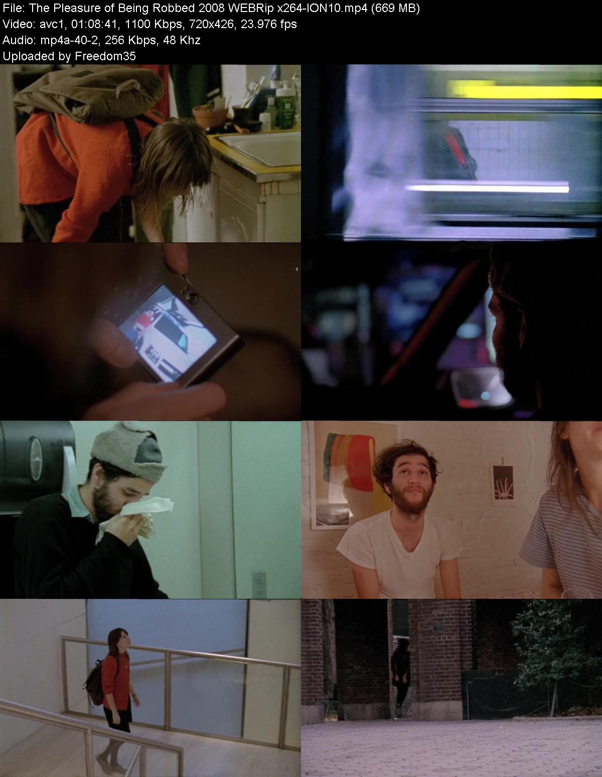 The-Pleasure-of-Being-Robbed-2008-WEBRip