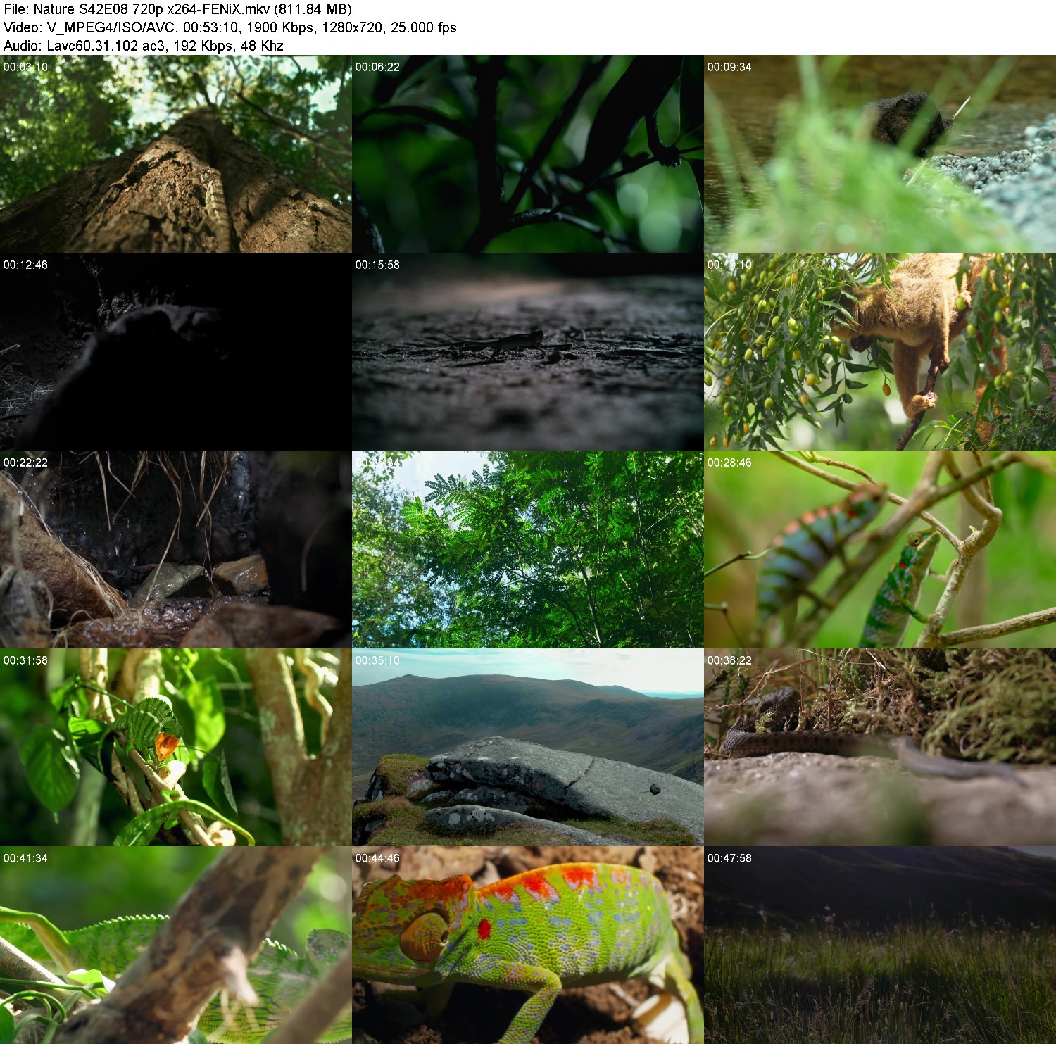 [Image: lzfns671l2cd.jpg]