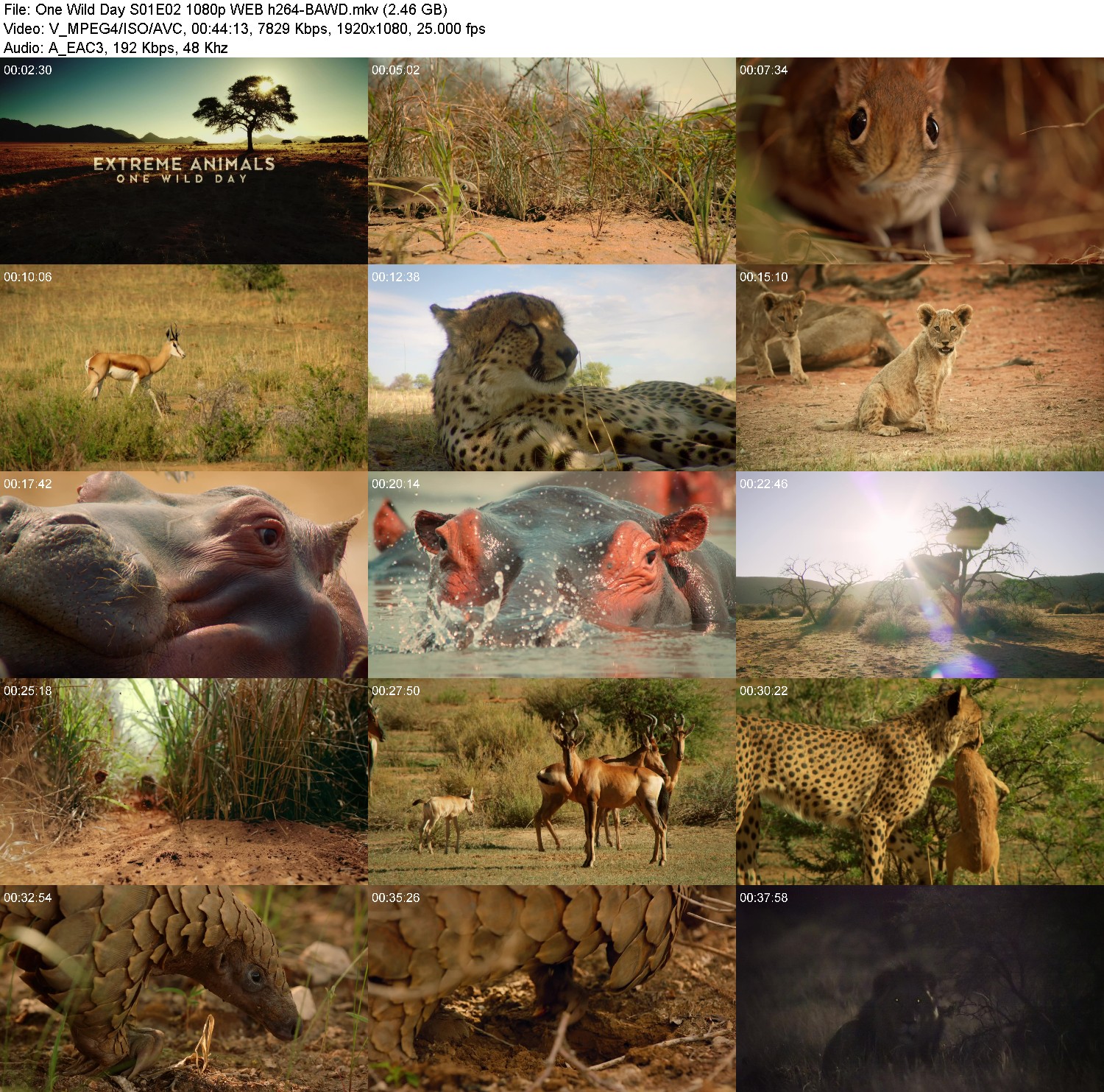 [Image: mhvn7kgp24m0.jpg]