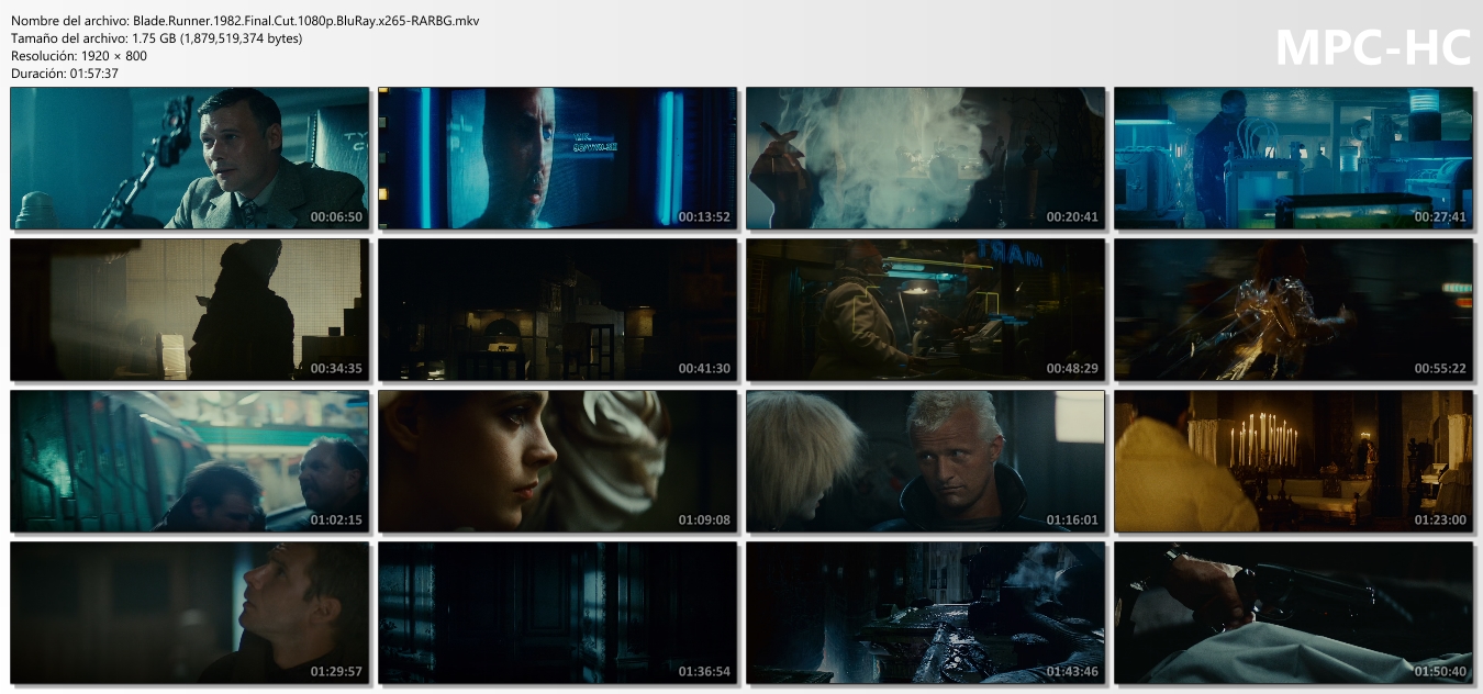 Blade Runner (1982-2017) 1080p [OPEN MATTE]