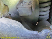 IMG-5459