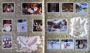 IMG-0008