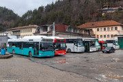 IMG-3386