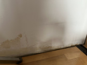 IMG-6519