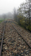 S9960031
