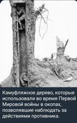 https://i.postimg.cc/yD61YSsJ/photo-2026-08-26-00-48-27.jpg