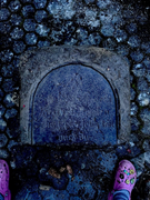 RDT_20240330_191701248664454708642129