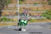 IMG-2804