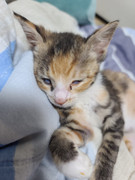 KakaoTalk_20230906_232422311