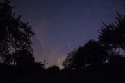 IMG-0010.jpg