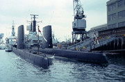 https://i.postimg.cc/yDGjN1zH/HMS-FINWHALE-OPOSSUM.jpg