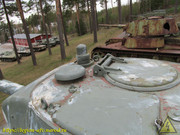 IMG-2504