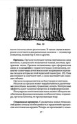 Shyem-shtory-i-podushki-Darya-Kostina-37