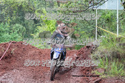 IMG-6313