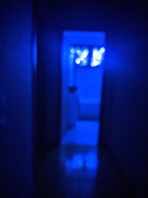 IMG_20211224_234932_tigr