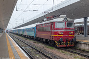 IMG-4132