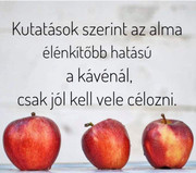 https://i.postimg.cc/yDVPCDd1/FB-IMG-1675162188338.jpg