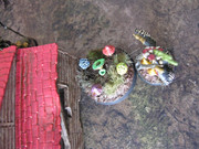 IMG-9407