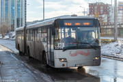 IMG-3088