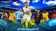 gioi-thieu-7m