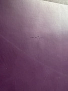 IMG-7150