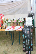 IMG-7285-wynik