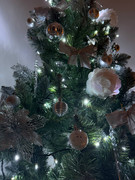 photo 2025 12 29 23 42 54