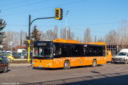 IMG-5241